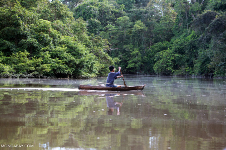 Indigenous Tikuna paddling a dugout canoe on a tributary of the Amazon. Image by Rhett A. Butler/Mongabay.