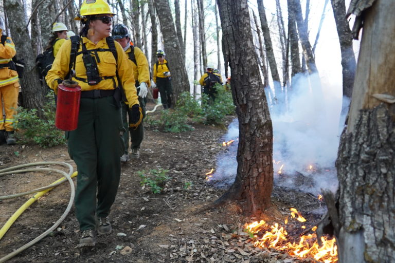 The start of burn practices by Indigenous people participating in a fire training event in October 2022. Images by bay laurel O'Connor/courtesy of the Karuk Tribe.
