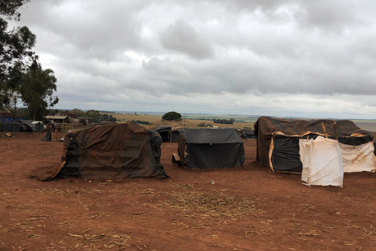 Indigenous residents have built wooden huts covered with plastic sheets.