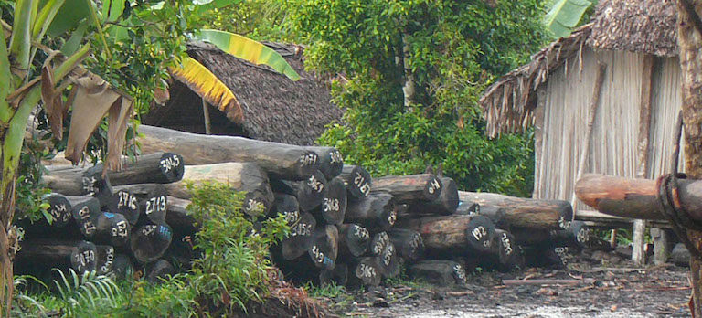 A stockpile of illegally harvested rosewood at the port of Rantabe, Madagascar, circa 2010. The port lies near Makira Natural Park, which the Wildlife Conservation Society manages. Image by Erik Patel via Wikimedia Commons (CC BY-SA 3.0).