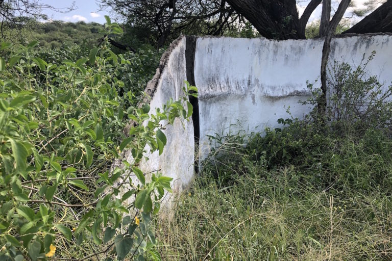 Today, little remains of the burned lodge but a few overgrown fragments of its foundation. Image by Eve Driver for Mongabay.