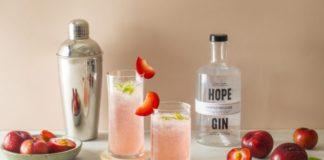 Two Gin & Plum Cocktails for a Refreshing Summer