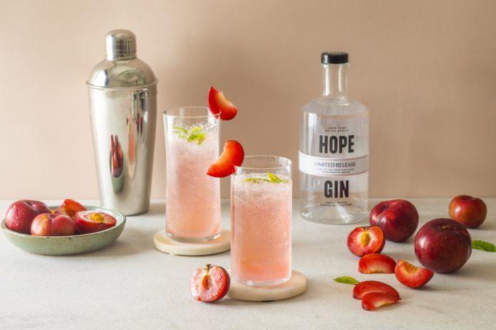 Two Gin & Plum Cocktails for a Refreshing Summer Two Gin & Plum Cocktails for a Refreshing Summer