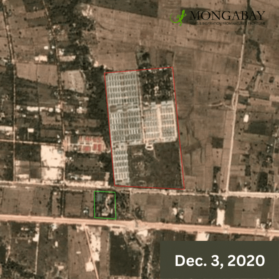 Satellite imagery shows an expansion of Vanny Bio Research's facilities in Pursat province over the course of the pandemic