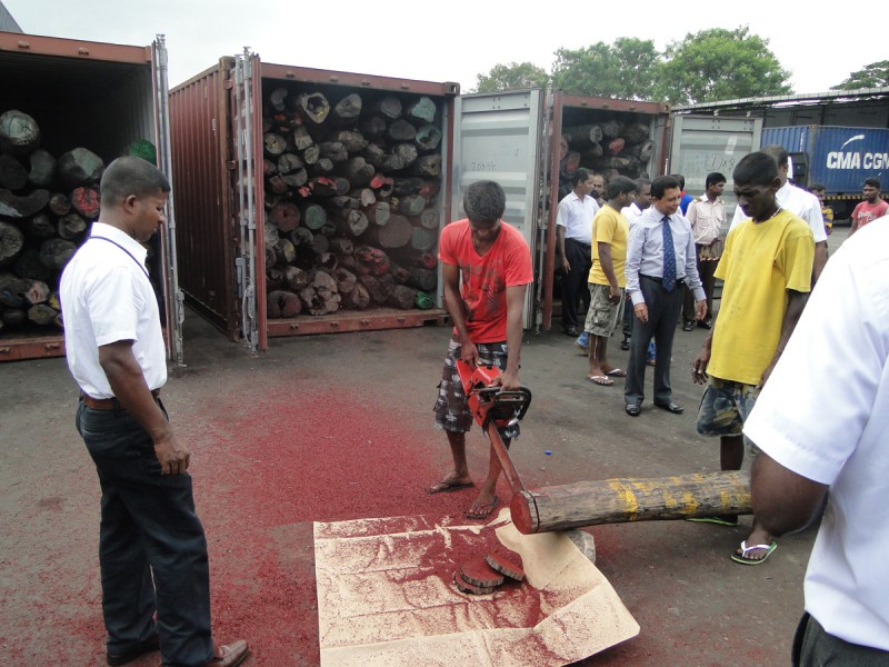 Scene from Sri Lanka’s April 2014 seizure of Madagascar rosewood. Photos courtesy of Sri Lanka Customs.