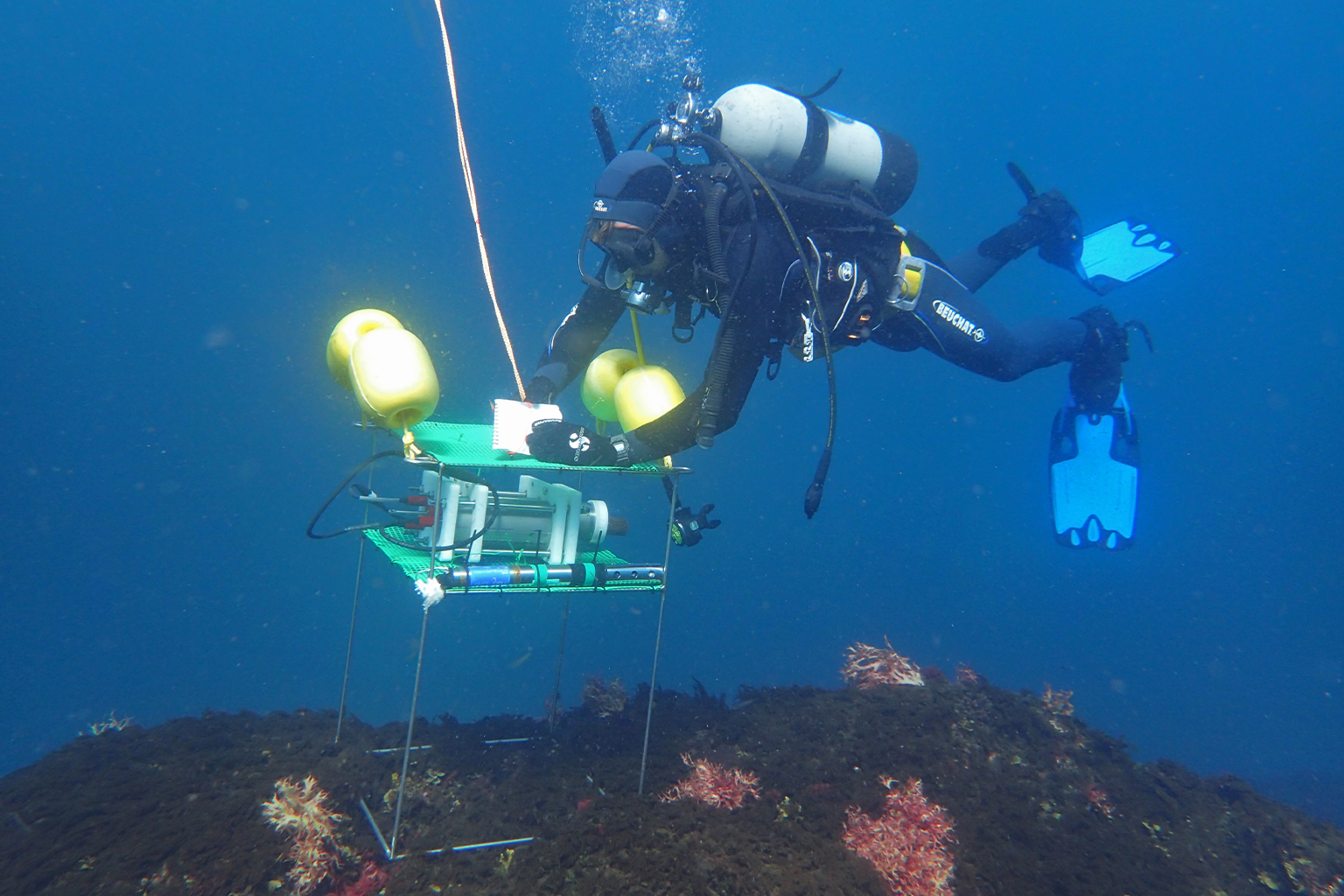 A marine biologist deploying sensors underwater.