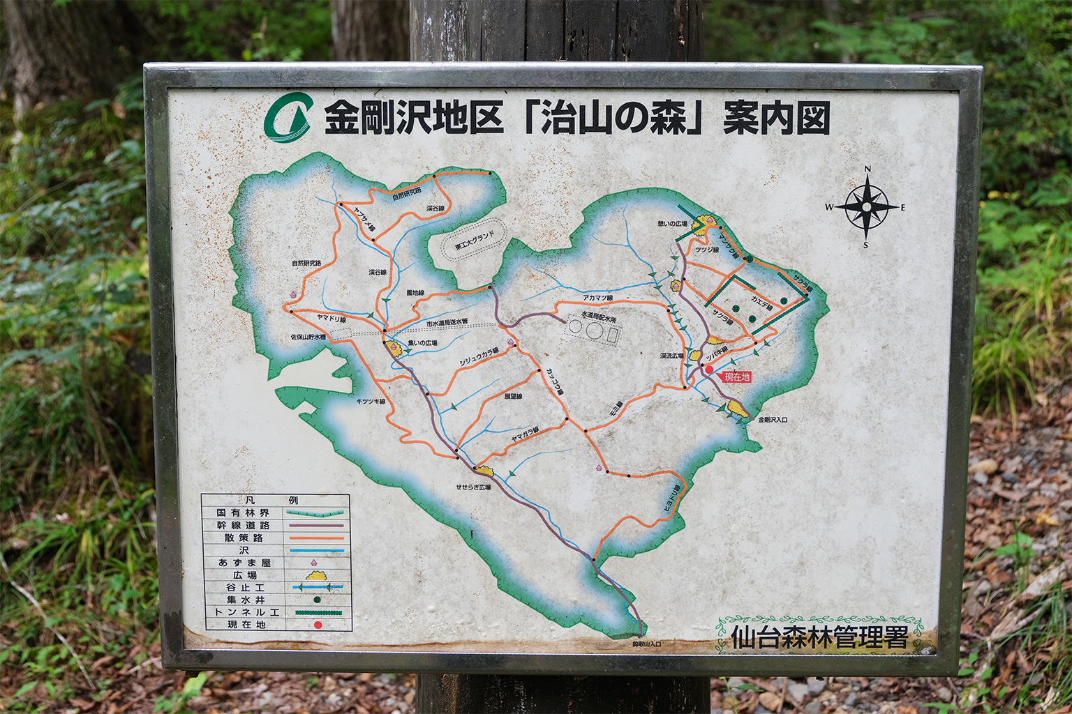 Map of a chisan forest.