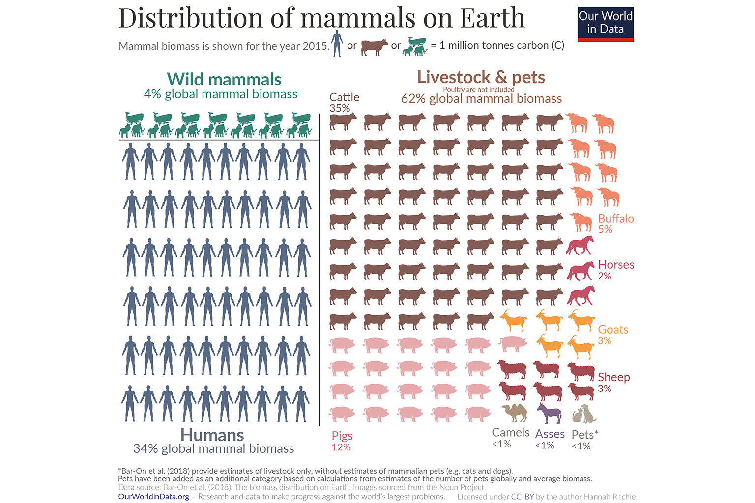Infographic of distribution of animals on Earth.