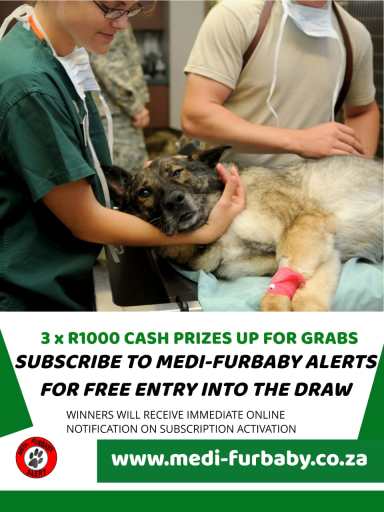 Medi furbaby Are voice for pets when emergencies arise