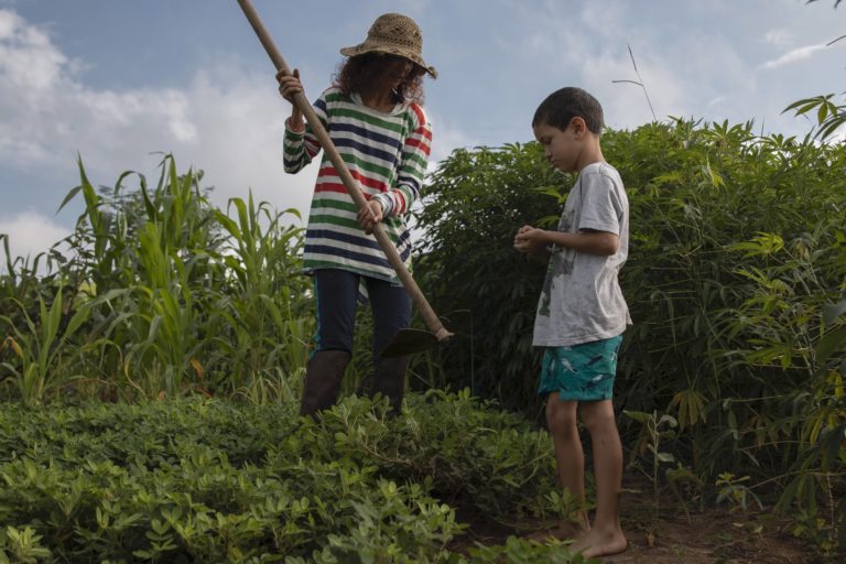 5. Mara and Caleb harvesting peanuts. Sítio Maranata, Nova Esperança Settlement, São José dos Campos, Paraíba Valley, Brazil. Image by Inaê Guion.