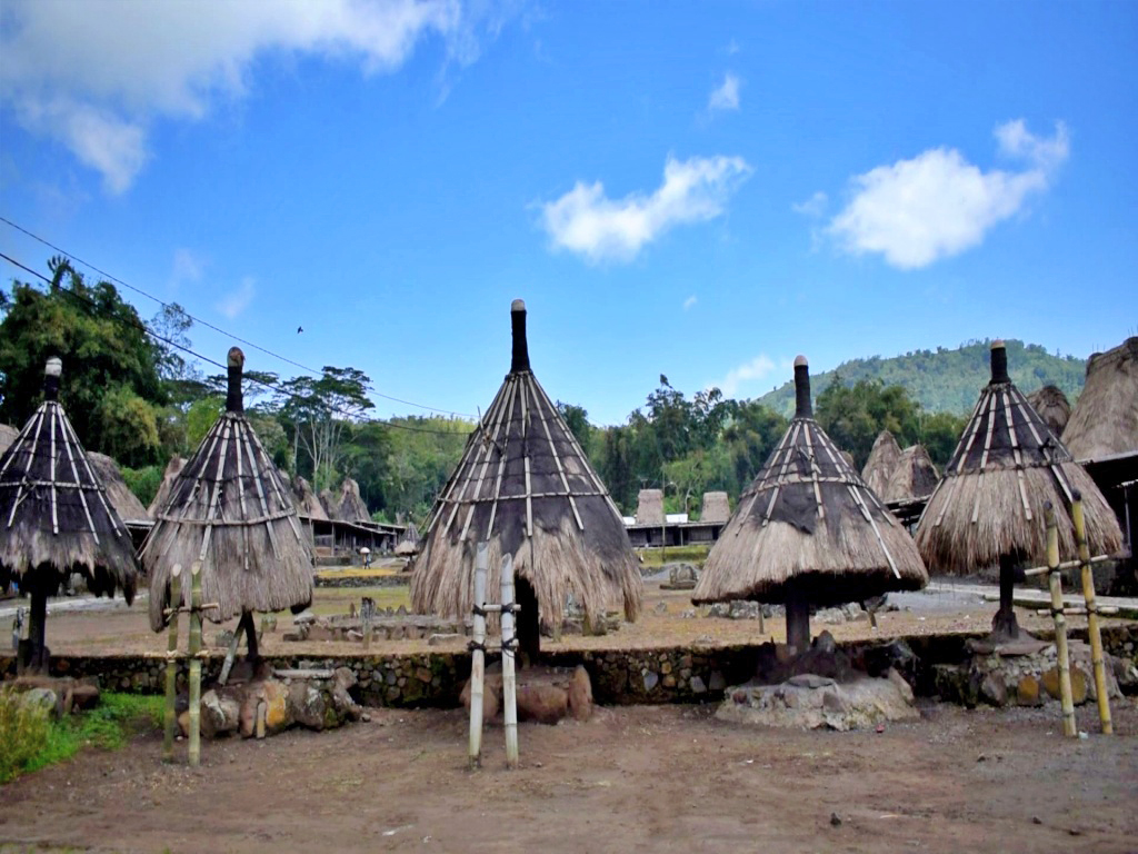 Traditional houses and structures in Wogo village.
