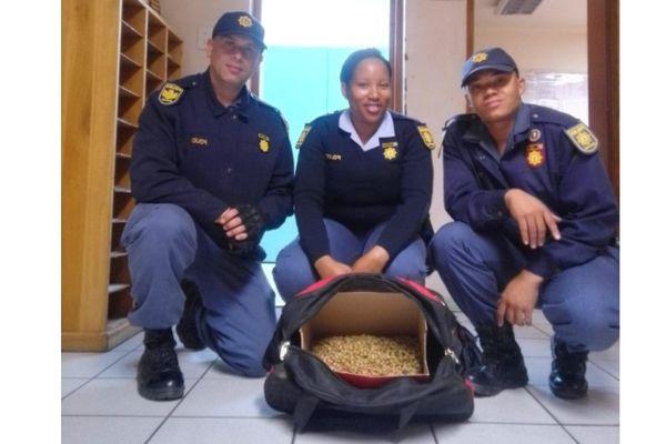 Poacher arrested with R1.6 million worth of succulents, Garies Poacher arrested with R1.6 million worth of succulents, Garies