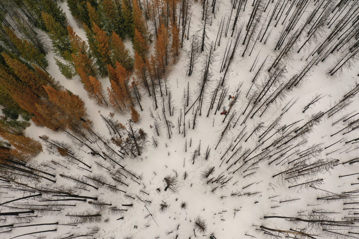 Drone footage of snow in burned and unburned forest in the 2020 Cameron Peak Fire, northern Colorado. (Credit: Stephanie Kampf and Daniel McGrath/Colorado State University)