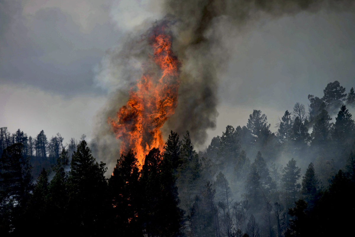 Wildfires spark up throughout the summer and early fall in the western United States. (Image by David Mark from Pixabay)