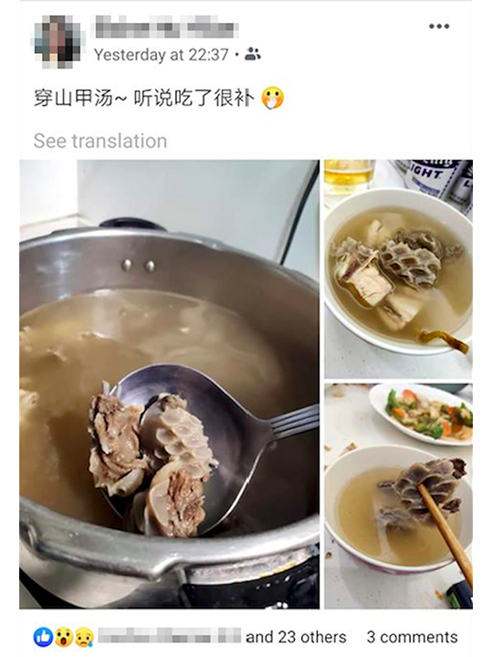 Pangolin soup photos on Facebook.