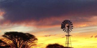 Farm attack, owner assaulted, tied up by 5 attackers, firearms robbed, Musina