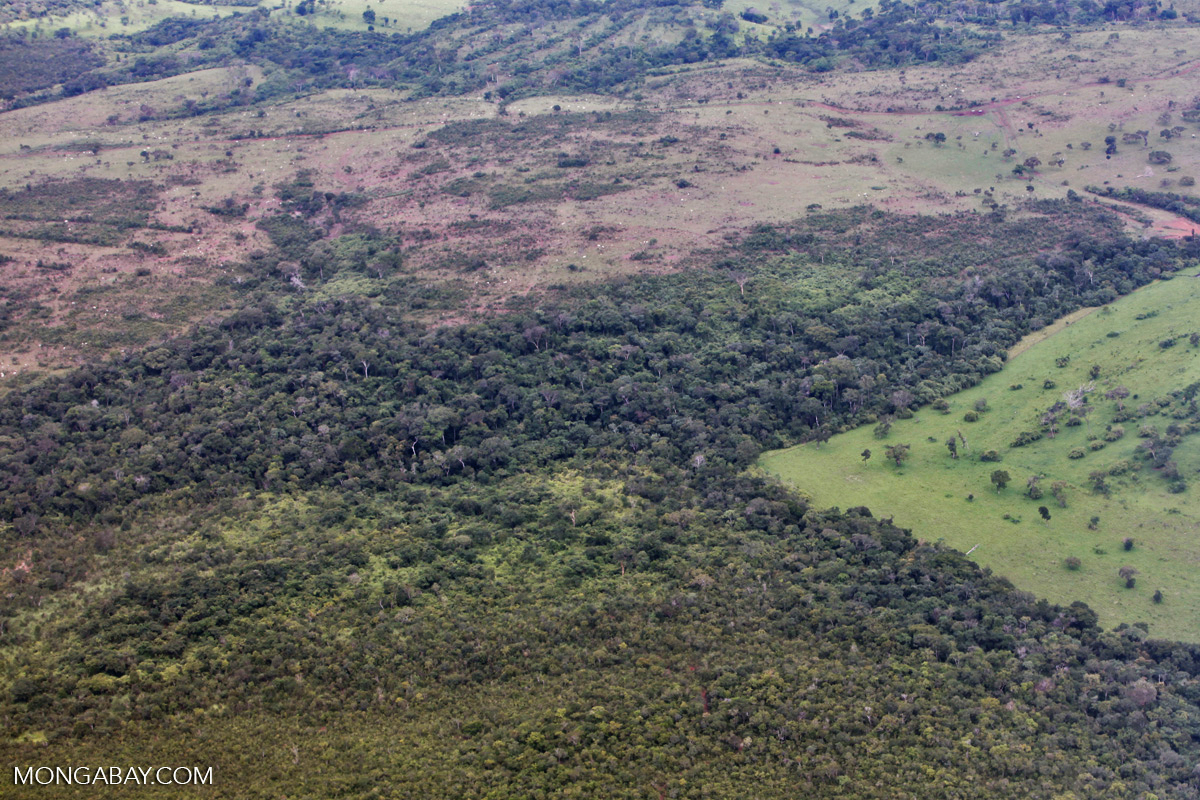 An aerial image shows rainforest fragmented by cattle ranching.