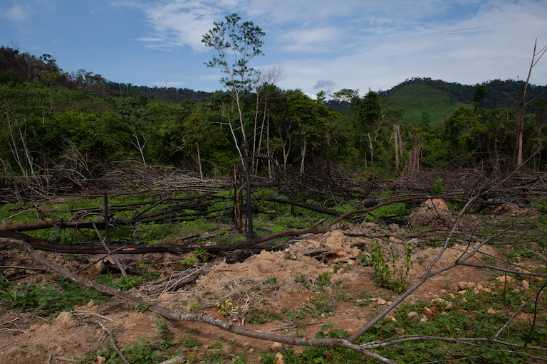 Deforestation is advancing across the Brazilian Amazon, as rainforest gives way to cattle pastures, soy plantations and illegal mines. Photo by Ana Ionova for Mongabay.