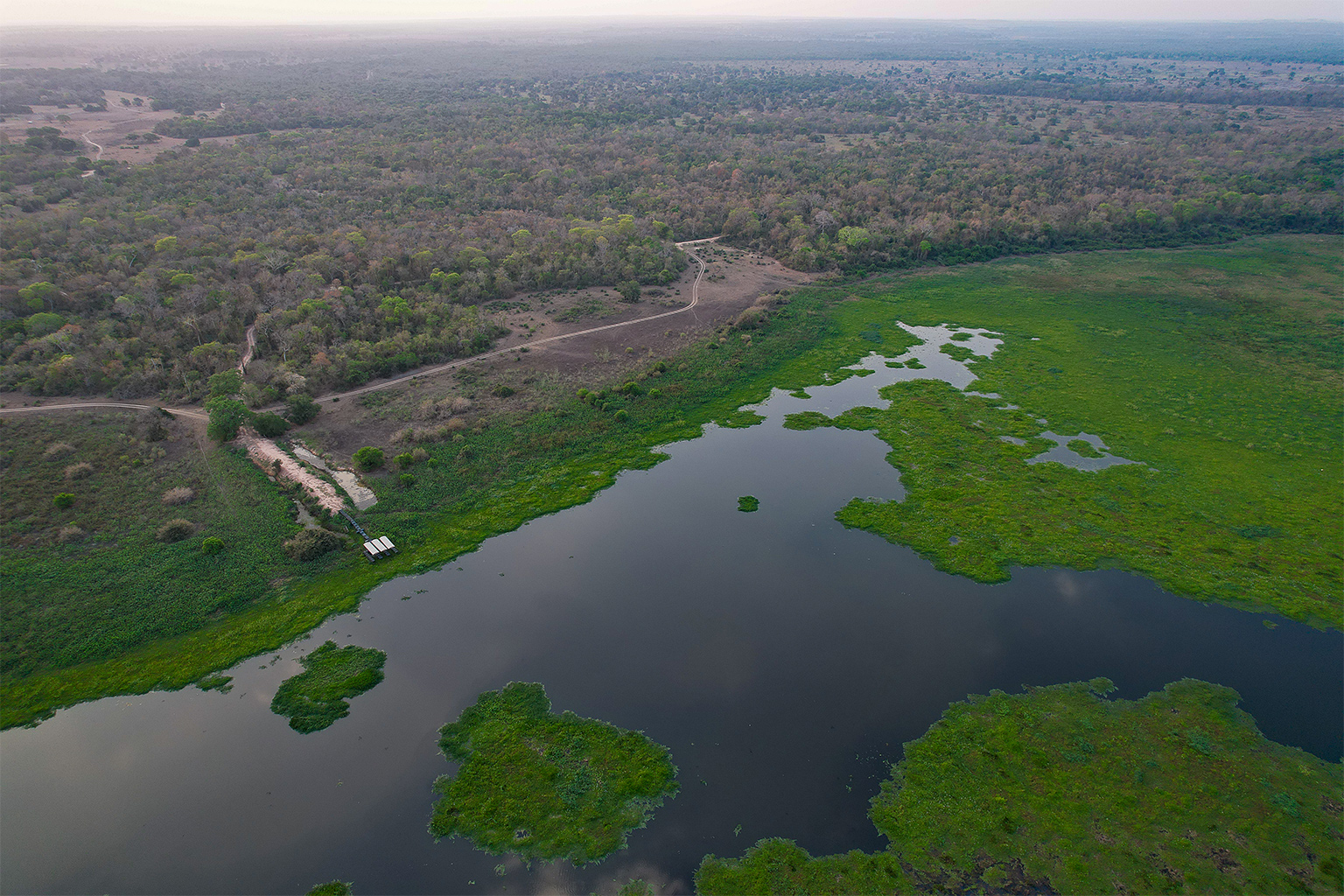 Aerial shot of the Pantanal wetlands.