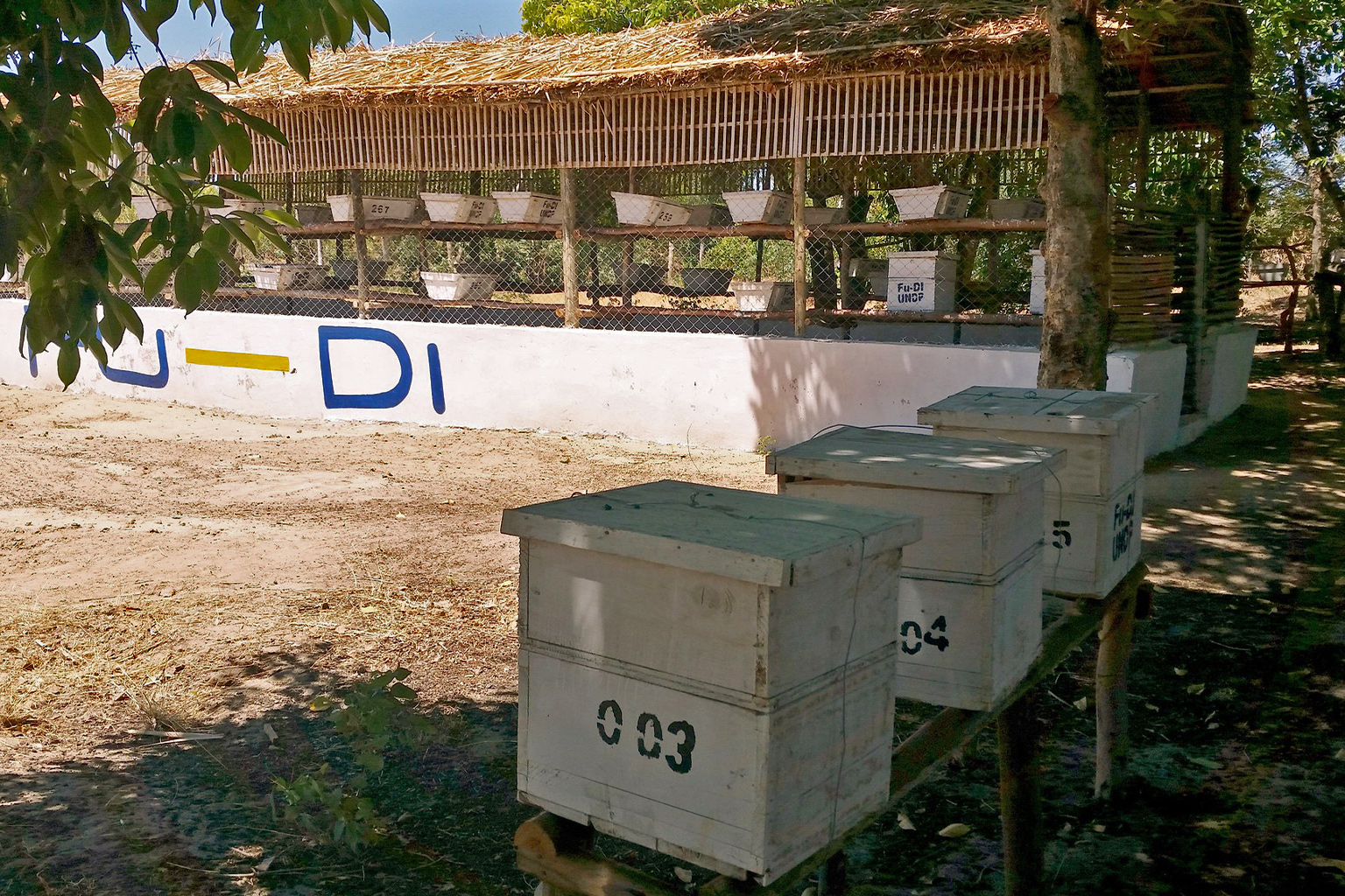 Modern beehives in an apiary.