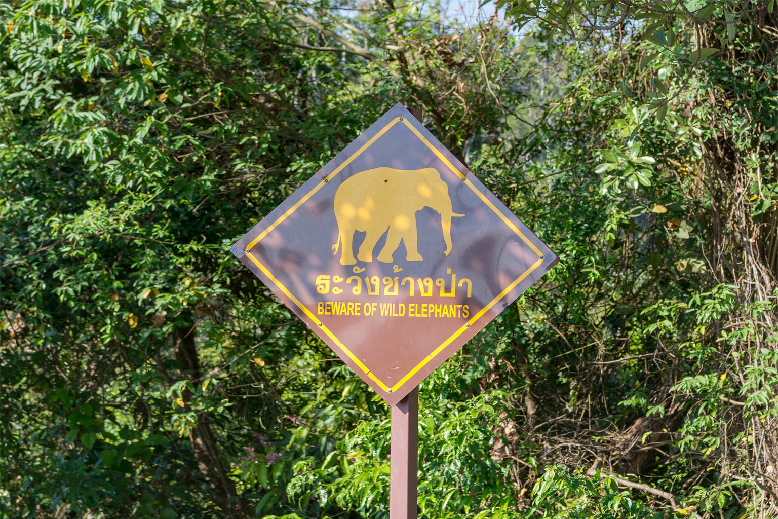 A warning sign about wild elephants.