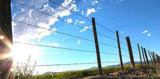 Farm attack, wounded owner returns fire, kills 1 attacker, Kleinmond