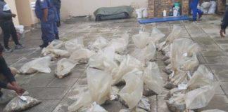 R1,4 million worth of abalone recovered, Gansbaai R1,4 million worth of abalone recovered, Gansbaai