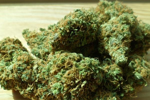Woman arrested with R512k worth of dagga in her luggage, Upington