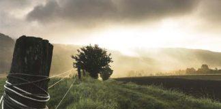 5 Suspects impersonating police invade farm, demand access to the safe, Franklin