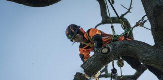 First female chainsaw operators make the cut at Knysna Municipality
