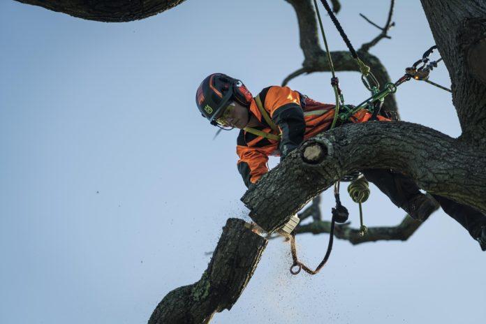 First female chainsaw operators make the cut at Knysna Municipality