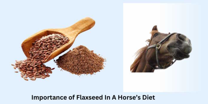 Importance of Flaxseed in a Horse’s Diet