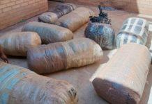 6 Suspects arrested with massive quantity of dagga, Leboeng. Photo: SAPS