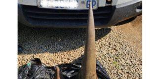 Man arrested with 2 rhino horns in Piet Retief. Photo: SAPS