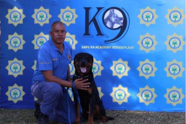 K9 ‘Deacon’ dies after after saving his handler’s life, arresting suspect