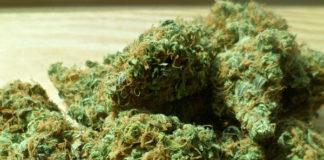 Western Cape operations recover drugs and guns Western Cape operations recover drugs and guns