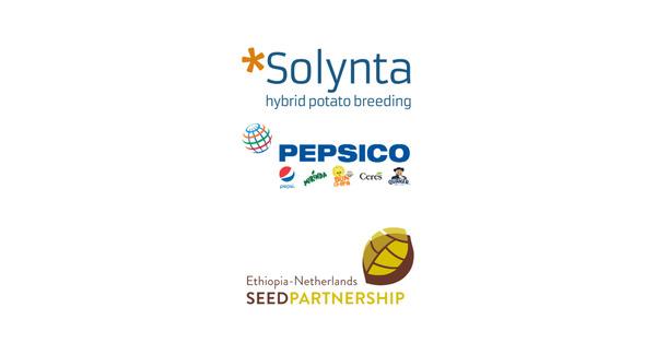 Solynta and PepsiCo Partner to Bring Hybrid Potato Seeds to Ethiopian Farmers