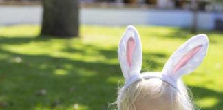 Make this Easter memorable with a picnic at Steenberg