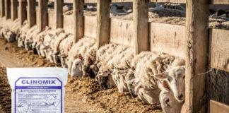 Pratley Clinomix®, a registered livestock feed additive for ruminants