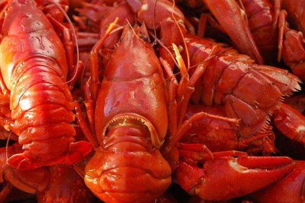 R1,9 million worth of lobsters recovered, 3 arrested