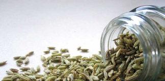 How To Use Fennel For Healthy Guts