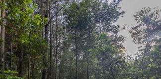 Point Group Secures Title Sponsorship of Upper Highway Trail Marathon 2023 Point Group Secures Title Sponsorship of Upper Highway Trail Marathon 2023