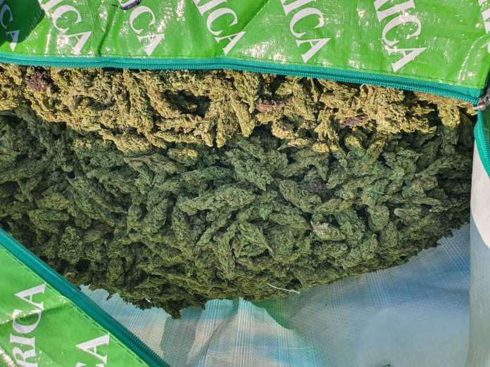 Police arrest alleged drug dealers with dagga worth R5 Million Police arrest alleged drug dealers with dagga worth R5 Million