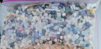 Urgent Call for Government Action to Address Alarming Increase in Nurdles on South African coastline