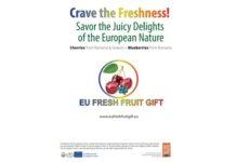 EU Fresh Fruit Gift