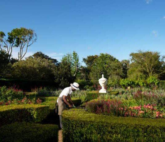 Steenberg's Breathtaking Gardens Spring to Life: A Multisensory Celebration of Nature's Splendour