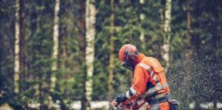 Chainsaw Safety: Cutting Through Danger with Safety First