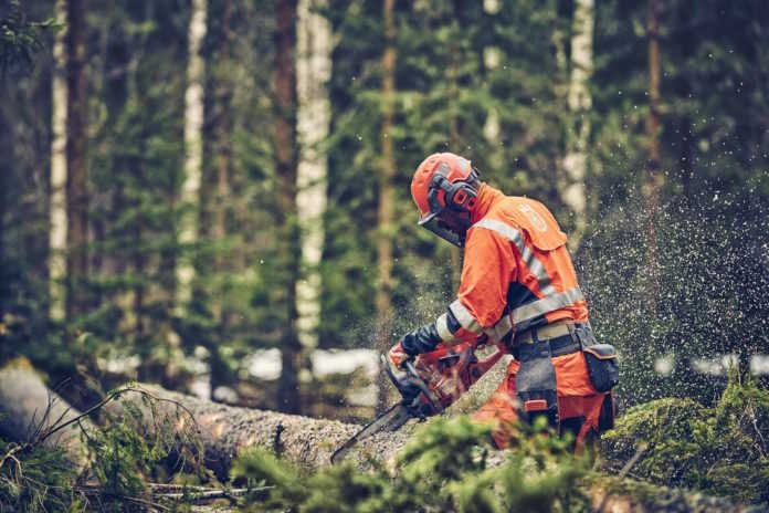 Chainsaw Safety: Cutting Through Danger with Safety First