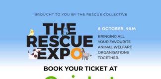 Paws and Applause: The Second Annual Rescue Expo on your doorstep
