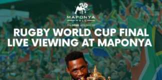 Rugby World Cup Final at Maponya Mall